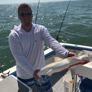 Meet your Posher, Ben